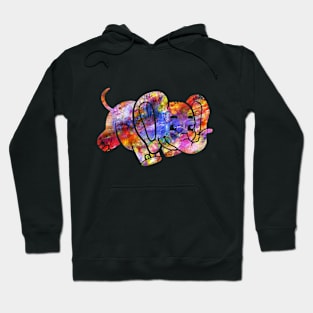 Colorful Elephant Gift Hoodie